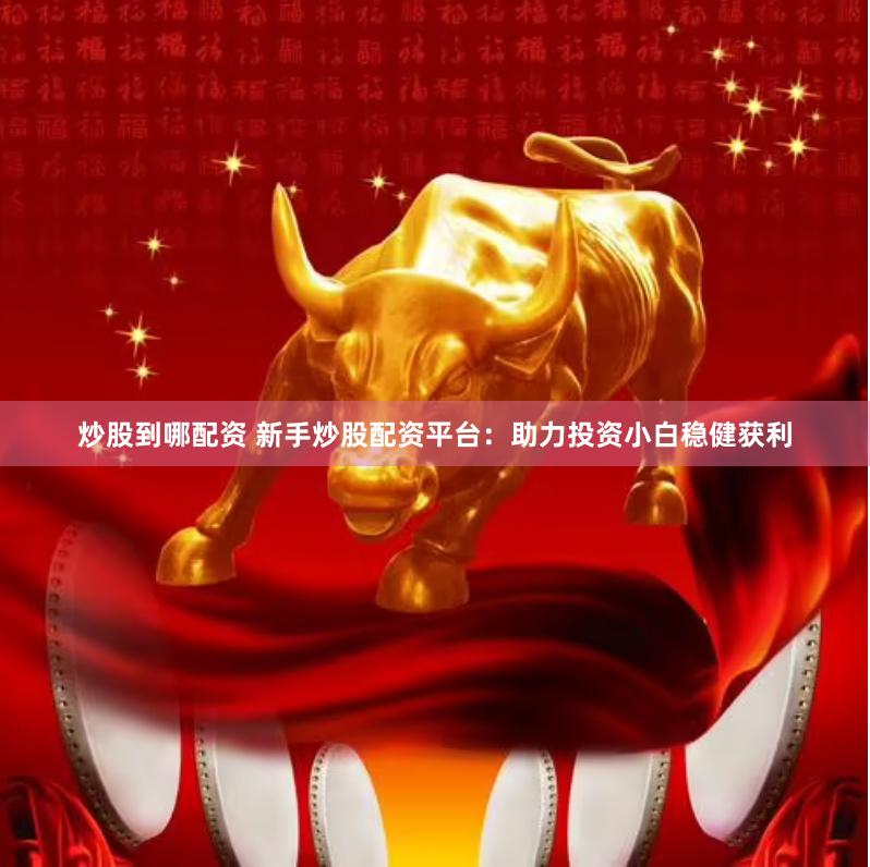 炒股到哪配资 新手炒股配资平台：助力投资小白稳健获利