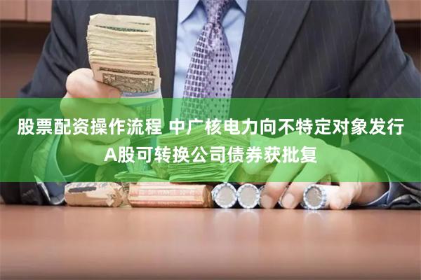 股票配资操作流程 中广核电力向不特定对象发行A股可转换公司债券获批复