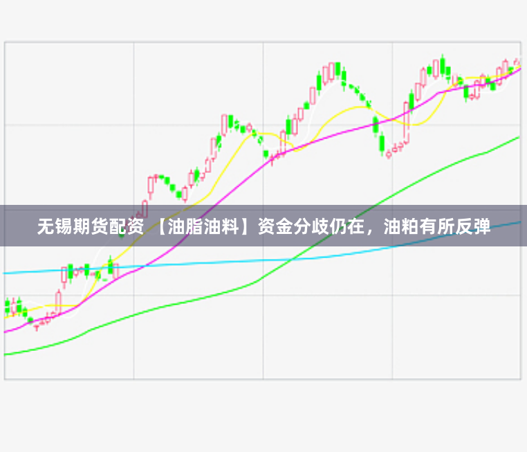 无锡期货配资 【油脂油料】资金分歧仍在，油粕有所反弹