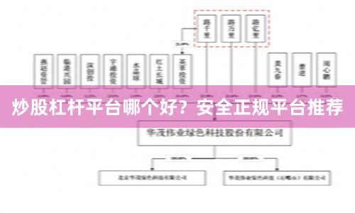 炒股杠杆平台哪个好？安全正规平台推荐