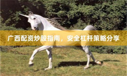 广西配资炒股指南，安全杠杆策略分享