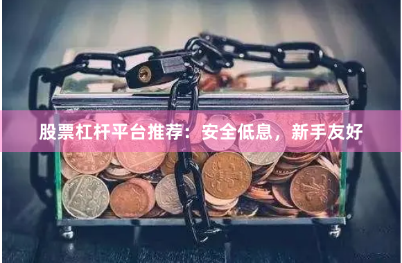 股票杠杆平台推荐：安全低息，新手友好